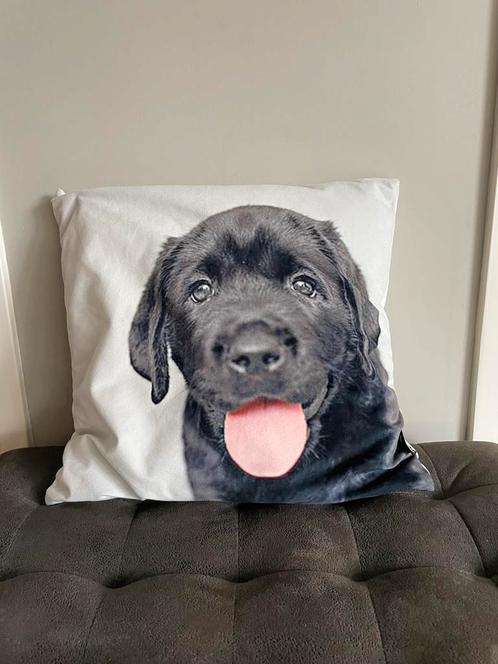 Sierkussen zwarte labrador pup, Huis en Inrichting, Woonaccessoires | Kussens, Zo goed als nieuw, Zwart, Vierkant, Verzenden
