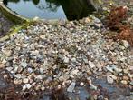 Rotsen en keien voor vijver/tuin, Ophalen, Overige materialen, Gebruikt, Kei