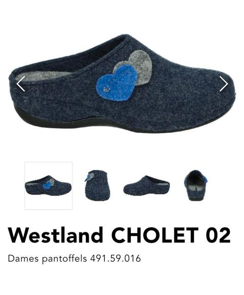 Vilten clogs in doos 💙 WESTLAND Cholet 2 💙 VILT Maat 40 G, Kleding | Dames, Schoenen, Nieuw, Ophalen of Verzenden