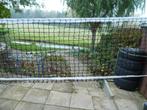 Tennisnetten en tennisballen, Overige merken, Ballen, L00, Nieuw