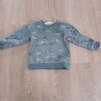 Dino trui maat 110, Ophalen, Trui of Vest, Zo goed als nieuw, Name IT