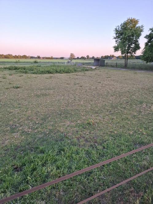 Plekje vrij op onze gezellige stal, Dieren en Toebehoren, Stalling en Weidegang, Opfok, Stalling, Weidegang, 2 of 3 paarden of pony's