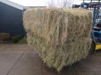 Duits kruidenhooi/ Eifelhooi in bundels,grote balen, pakjes, Dieren en Toebehoren, Ophalen of Verzenden, Vee