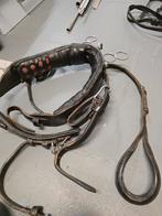 Mentuig shetlander, Ophalen of Verzenden, Overige soorten