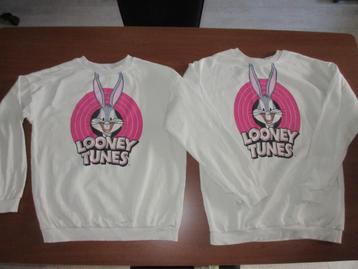 Twee heerlijke sweaters Looney Tunes maat 158-164 beschikbaar voor biedingen