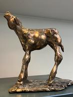 Het ‘grote’ gouden kalf van Theo Mackaay, Ophalen of Verzenden