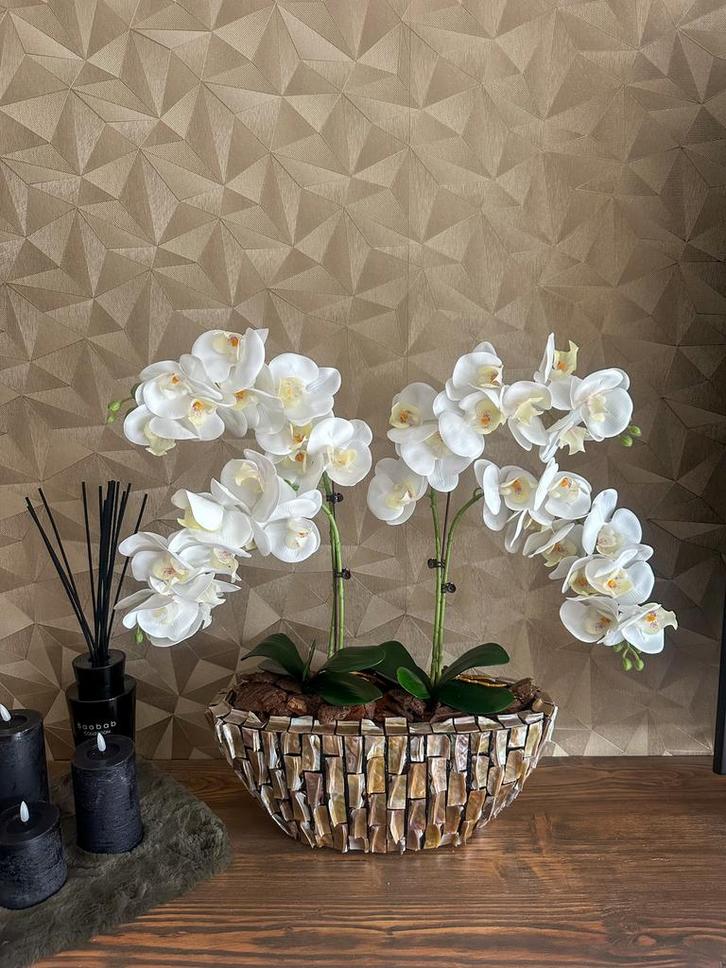 Schelpenvaas, Huis en Inrichting, Woonaccessoires | Kunstplanten en Kunstbloemen, Nieuw, Binnen, Ophalen