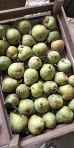 Grote stoofperen Saint Remy €2,50 per kilo, Ophalen of Verzenden