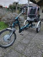 Aangepaste Driewieler Fiets, Ophalen of Verzenden, Gebruikt, Onbekend