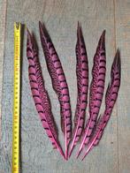 5 gekleurde fazant veren , veren carnaval, Materiaal, Ophalen of Verzenden, Zo goed als nieuw, Nvt