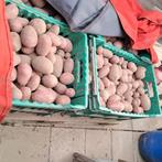 Aardappelen rode, Ophalen