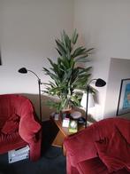 Kunstplant 135 cm hoog, Ophalen of Verzenden