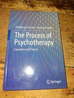 The Process of Psychotherapy, Ophalen of Verzenden, Nieuw, Wolfgang Tschacher, Hermann Haken