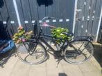Popal transport herenfiets 28 inch, Fietsen en Brommers, Fietsen | Heren | Herenfietsen, Ophalen, Gebruikt, Overige merken, Versnellingen