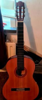 Mooie gitaar, Muziek en Instrumenten, Ophalen of Verzenden, Zo goed als nieuw