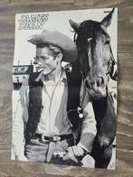 3 Posters van vroeger van James Dean !!, Ophalen of Verzenden, Zo goed als nieuw, Rechthoekig Staand, Film en Tv