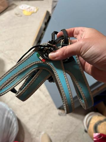 Halsband beschikbaar voor biedingen