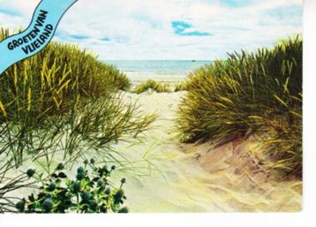 VLIELAND,- Duin en Zee.  12-11 beschikbaar voor biedingen