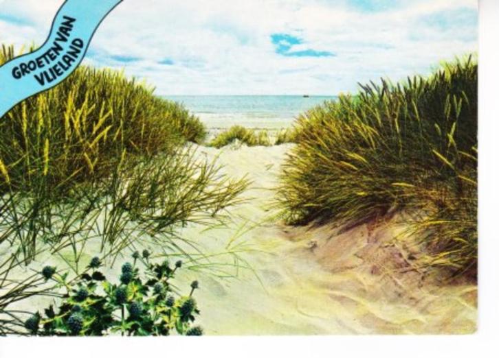 VLIELAND,- Duin en Zee.  12-11, Verzamelen, Ansichtkaarten | Nederland, Gelopen, Waddeneilanden, 1980 tot heden, Ophalen of Verzenden