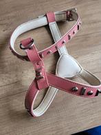 Mooi engelse bulldog tuig/harnas !, Dieren en Toebehoren, Ophalen