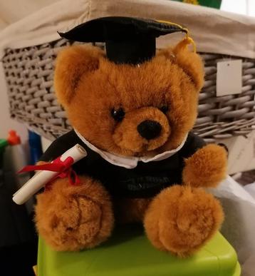 Afgestudeerde Teddybeer - Leuk Cadeau! beschikbaar voor biedingen
