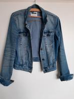 Spijkerjasje Noisy May als NIEUW!!!, Blauw, Ophalen of Verzenden, Zo goed als nieuw, Jasje