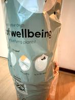 Kamerplant, luchtreinigend, nieuw, groen, witte bloemen, Huis en Inrichting, Kamerplanten, Ophalen of Verzenden