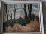Clement Bezemer - Biesbosch, 1982, Ophalen of Verzenden