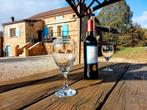 Vakantie Boerderij Lot / Dordogne Midi Pyreneeën Garonne, Vakantie, Vakantiehuizen | Frankrijk, Midi-Pyreneeën, Open haard, Landelijk