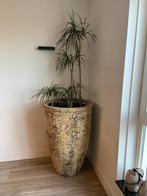 MEGA Hoge betonnen bloempot XXL / plantenbak/ sierpot /, Tuin en Terras, Ophalen, Tuin, 100 cm of meer, Rond