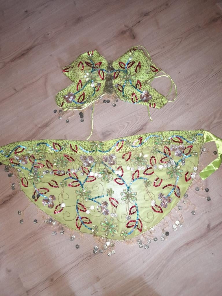 Buikdans kostuum - groen met pailletten, Carnaval, Nieuw, Ophalen of Verzenden, Kleding