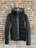 Falcon wintersportjas maat 40 / XL, Maat 38/40 (M), Falcon, Ophalen of Verzenden, Jack