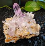 Large Crystal and Mineral Collection for Sale, Verzamelen, Mineralen en Fossielen, Ophalen, Mineraal