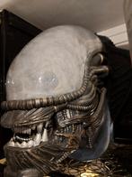 Alien: Xenomorph Wall Mounted Bust - Foam Replica, Ophalen of Verzenden