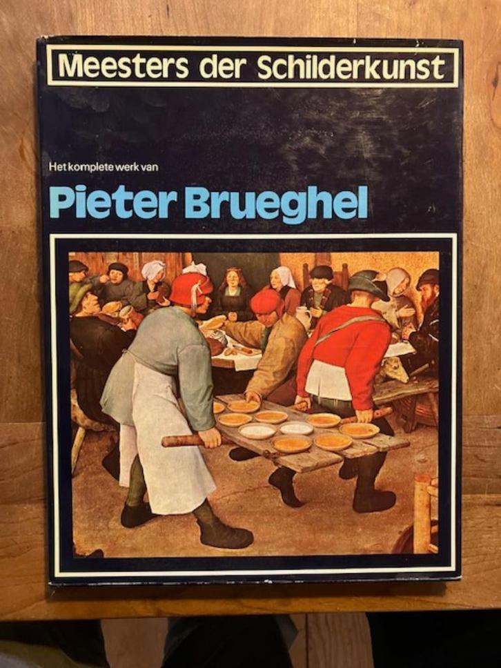 Pieter Brueghel, het complete werk, Boeken, Kunst en Cultuur | Beeldend, Zo goed als nieuw, Ophalen of Verzenden