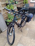 Pegasus Salerno herenfiets maat 55 met 7 versnellingen, Gebruikt, Versnellingen, 53 tot 57 cm, Ophalen