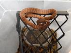 Chilabothrus Inornatus Puerto Ricaan regenboog boa, Slang, 0 tot 2 jaar