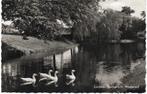 Lochem, Stadsgracht Westerwal, 1959, Verzenden, 1940 tot 1960, Gelopen, Gelderland