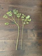 kunstbloemen, Ophalen, Nieuw, Binnen
