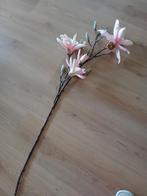Heel mooi  magnolia 90cm, Ophalen of Verzenden, Zo goed als nieuw