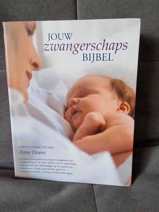 Anne Deans - Jouw zwangerschapsbijbel, Boeken, Kinderboeken | Baby's en Peuters, Zo goed als nieuw, Ophalen of Verzenden