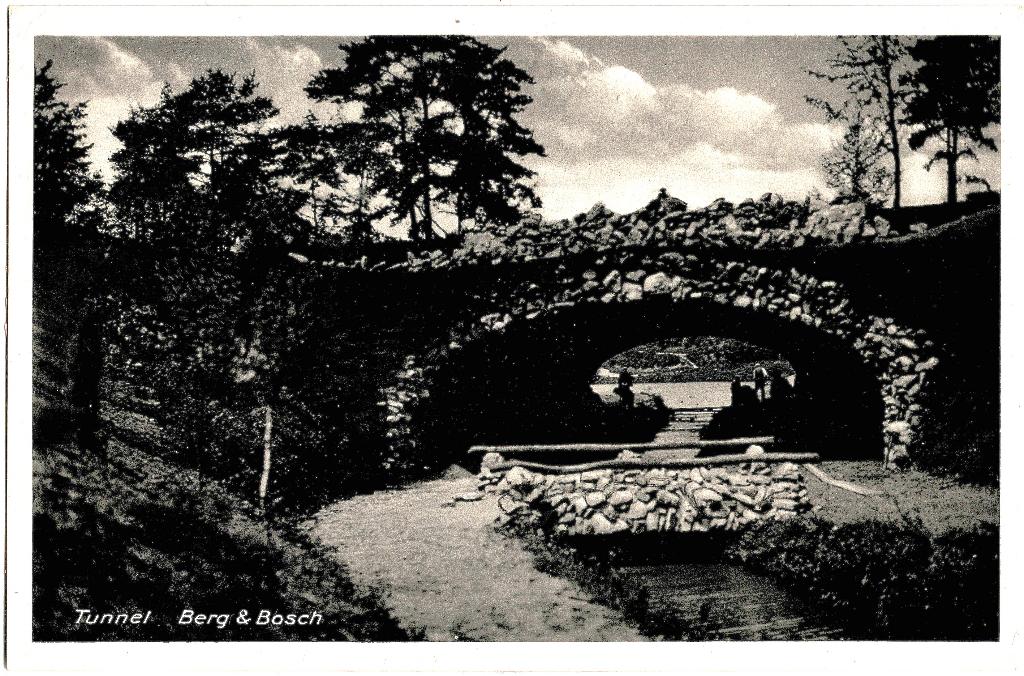 Apeldoorn, Berg en Bosch,tunnel, ongelopen, richtprijs 2,50, Verzenden, 1940 tot 1960, Ongelopen, Gelderland
