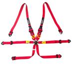 Racegordels 6 punts met FIA keuring, Ophalen, Nieuw