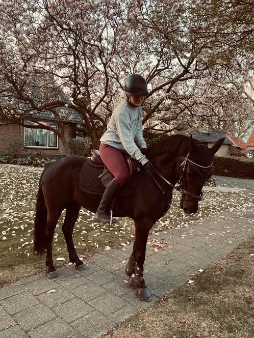 Sportmassage paard, Dieren en Toebehoren, Paarden en Pony's | Verzorgingsproducten, Ophalen