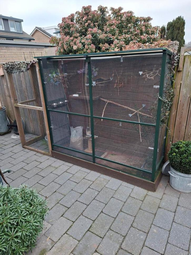 Volliere groen gepoedercoat met sluis, Dieren en Toebehoren, Vogels | Hokken en Kooien, Volière, Hout, Ophalen