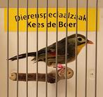 Japanse nachtegaal pop, Vrouwelijk, Tropenvogel, Geringd
