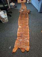 Python slangenhuid (480 cm x 45 cm), Verzamelen, Ophalen of Verzenden, Gebruikt, Reptiel of Amfibie, Opgezet dier