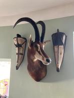 Sabelantilope, Ophalen of Verzenden, Zo goed als nieuw, Wild dier, Gewei of Kop