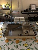 Hamster kooi, Dieren en Toebehoren, Knaagdieren, Januari, Geslacht onbekend, Hamster