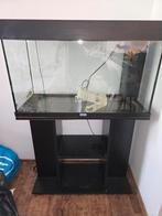 Juwel Rio 125 Aquarium + meubel – verlichting defect, Dieren en Toebehoren, Ophalen of Verzenden, Gebruikt, Leeg aquarium